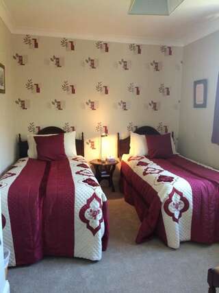 Отели типа «постель и завтрак» Grey Gables Farmhouse B&B Inishannon Двухместный номер с 2 отдельными кроватями и душем-7
